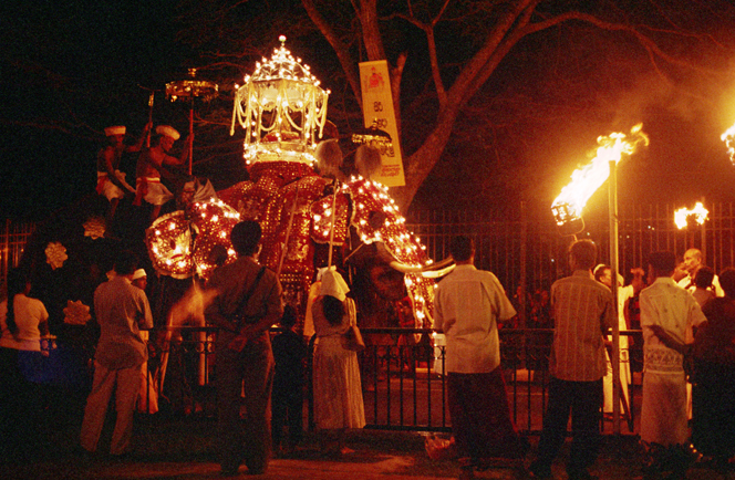 Oosten van Sri Lanka 15 daagse rondreis 4