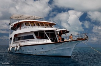 12daagse combi Liveaboard Sheena en Medhufushi Resort 5