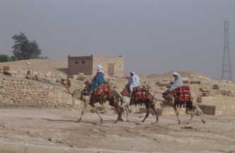 8 dagen 3 sterren Rode Zee en Cairo inclusief excursies 2