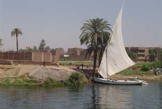 8 dagen 5 sterren  Nijlcruise en Cairo by Air CAI