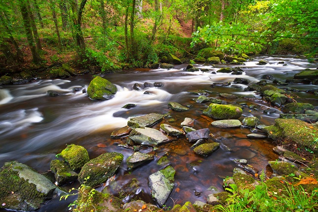 Hoogtepunten van Ierland 1