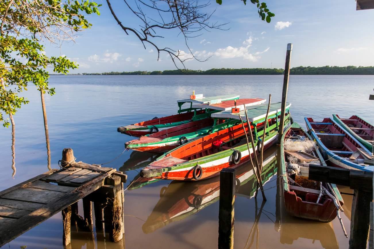 Fly en Drive Ontdek zelf Suriname  14